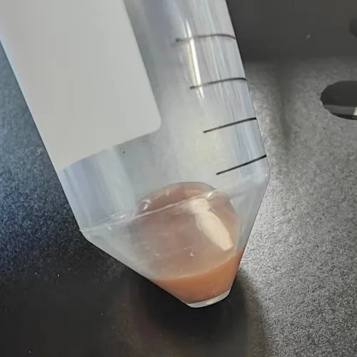 锈迹流动速度实验
